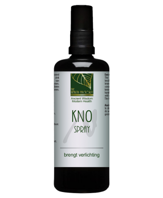 The Health Factory - KNO spray with Zinc and Silver 100 ml