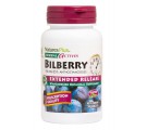 Herbal Actives - Bilberry Extended Release 100 mg (30 Tablets) - Nature's Plus