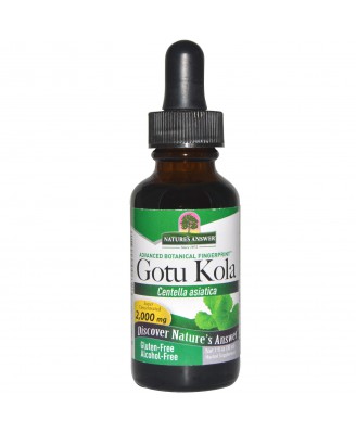Gotu Kola,  Alcohol-Free (30 ml) – Nature's Answer