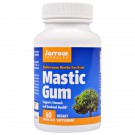 Mastic Gum 500 mg (60 Vegetarian Capsules) - Jarrow Formulas
