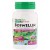 Herbal Actives - Boswellin 300 mg (60 Vegetarian Capsules) - Nature's Plus