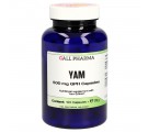 Yam 500 mg GPH (120 Capsules) - Gall Pharma GmbH