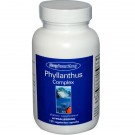 Phyllanthus Complex 120 Veggie Caps - Allergy Research Group