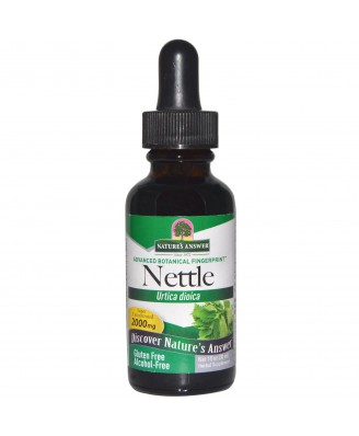 Nettle Leaf, Alcohol-Free, 2000 mg (30 ml) – Nature's Answer