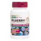 Herbal Actives - Bilberry Extended Release 100 mg (30 Tablets) - Nature's Plus
