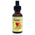Echinacea- Natural Orange Flavor (30 ml) - Childlife